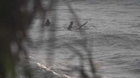 Surfer waits to catch waves, shot through the trees, slo-mo. Stock Footage 82330460