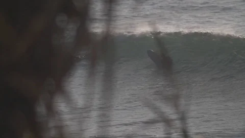 Surfer waits to catch waves, shot through the trees, slo-mo. Stock Footage 82330552