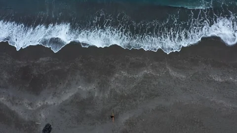 Surfer walking alone to shoreline Stock Footage 259442231