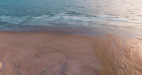 Surfer walking at the beach flyover seagulls foreground aerial Stock-Footage 153519957