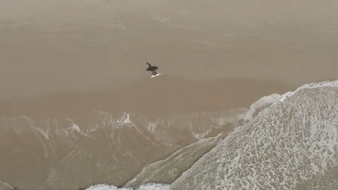 Surfer walking on beach Stock Footage 123250611