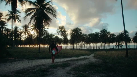 Surfer walking to the beach in the middle of coconut trees Stock Footage 307316650