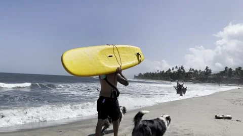 Surfer walking by Vidéo 254640464