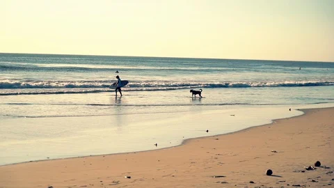 Surfer walking into ocean with dog Stock Footage 120138445