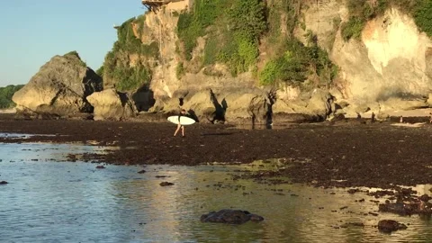 Surfer walking on rocky beach 스톡 동영상 138651404