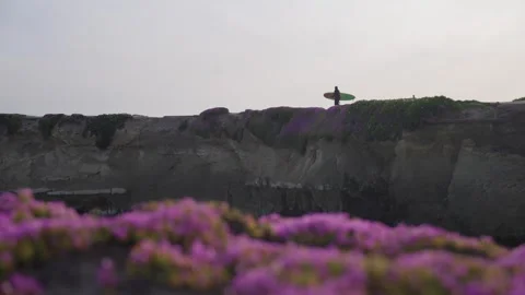 Surfer Walking on seal rock Steamer Lane State Beach Santa Cruz California Vidéo 246703052
