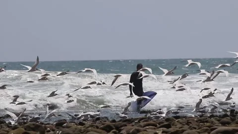 Surfer walking up from surf Vídeos de archivo 166674662