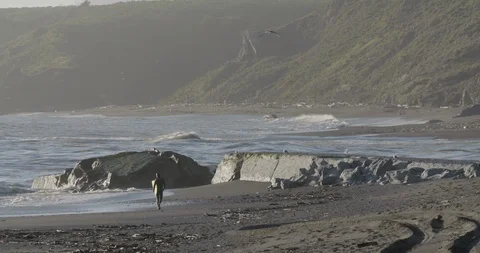 Surfer Walks on Beach, Waves Crash, Jenner California, Slow Motion, 4K Stock Footage 95558253