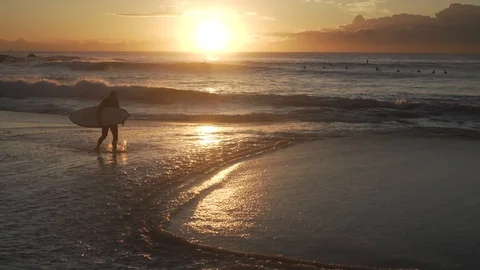 Surfer walks with board on beach at dawn Stock Footage 107074504