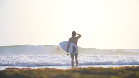 Surfer walks out to surf at sunset - Slow Motion Stock Footage 84010687