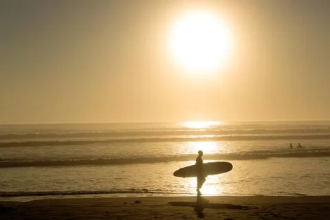 Surfer walks in the sunset Stock Photos