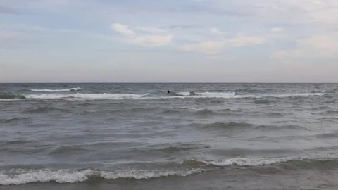 Surfer on the water. 動画素材 70320578