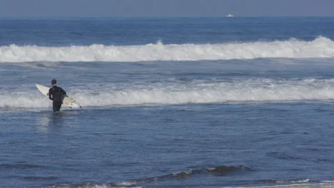 Surfer In The Water Vídeos de archivo 97765166