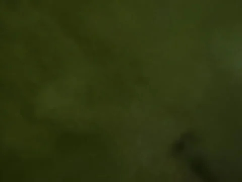 Surfer in the water gets ready. Stock Footage 42544802