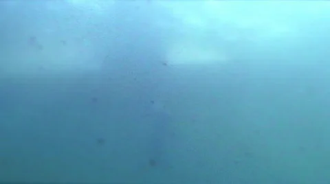 Surfer wating blue Stock Footage 870655