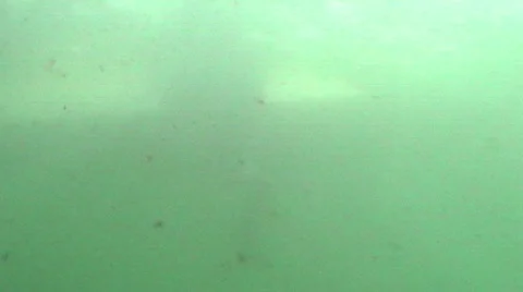 Surfer wating Stock Footage 870334