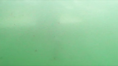 Surfer wating green Stock Footage 870597