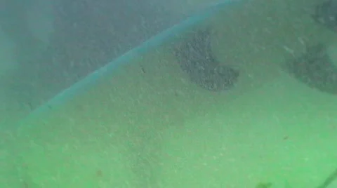 Surfer wating underwater shoot Stock Footage 869289