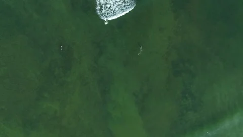 Surfer on wave from above 4k Stock Footage 307011423