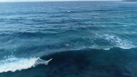 Surfer on wave, camera in reverse, 4k, NSW Australia Stock Footage 102357103