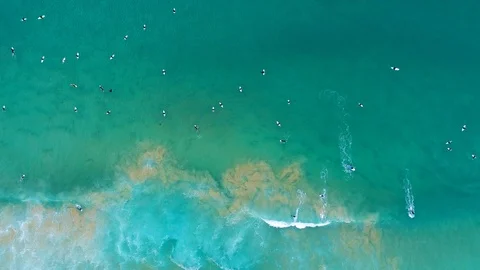 Surfer on a wave from far above Stock Footage 122282026
