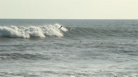 Surfer on a Wave Stock Footage 67370375