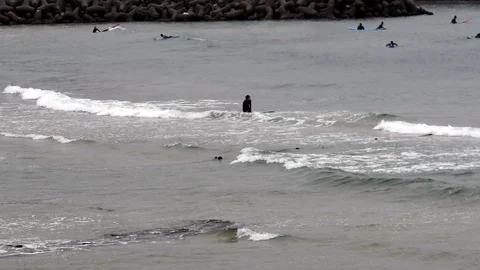 Surfers at the 38th parallel Video stock 91637969