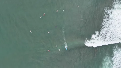 Surfers and Ocean Waves Stock Footage 254995938