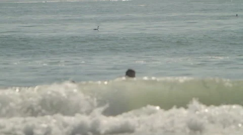 Surfers at the beach Stock Footage 46802215