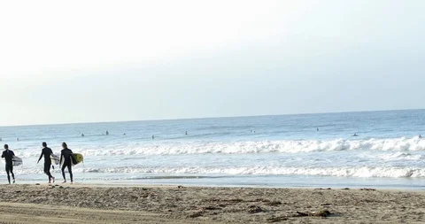 Surfers at the Beach Stock Footage 101932813