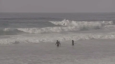 Surfers at the beach Stock Footage 239921482