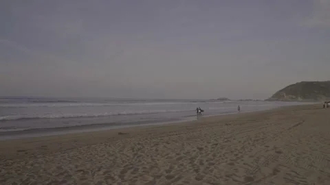 Surfers at the beach Stock Footage 239921603