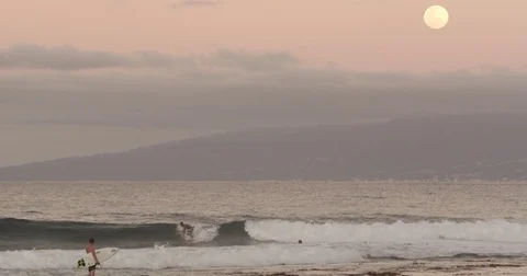 Surfers On Beach At Sunset Stock Footage 79735979