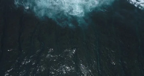 Surfers catch and ride the wave on reef. Turquoise ocean and the waves crashing Video stock 88229883