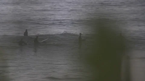 Surfers catch waves, slo-mo. Stock Footage 82330798