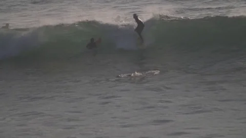 Surfers catch waves at sunset. Stock Footage 82330538