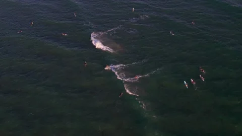 Surfers Catching Sunset Waves on Oahu, Hawaii Stock Footage 170903512