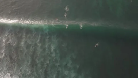 Surfer's catching waves in Bali Stock Footage 330918252
