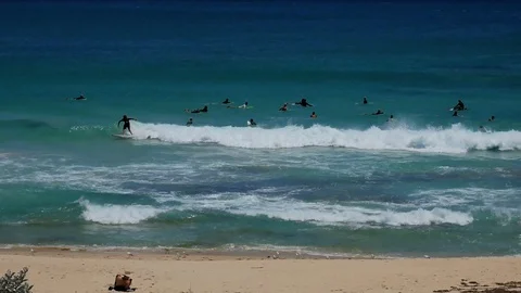 Surfers catching waves beach summertime tourism Stock Footage 121198305
