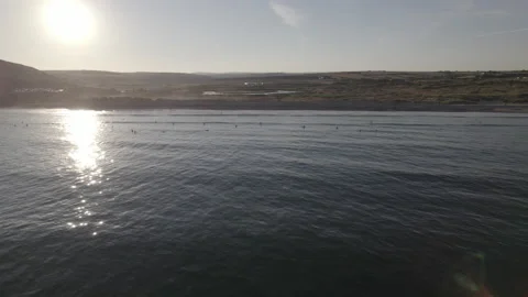 Surfers at dawn Video stock 204711550