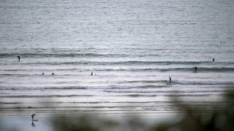 Surfers From a Distance High Up Using a Long Lens UK Stock Footage 92640107