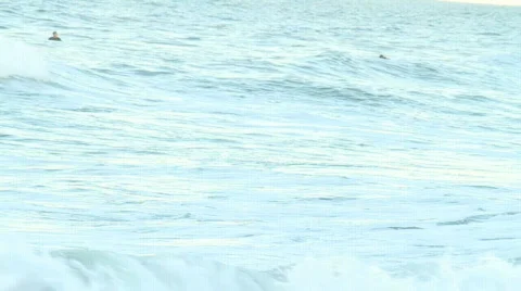 Surfers at Dusk Stock Footage 610331