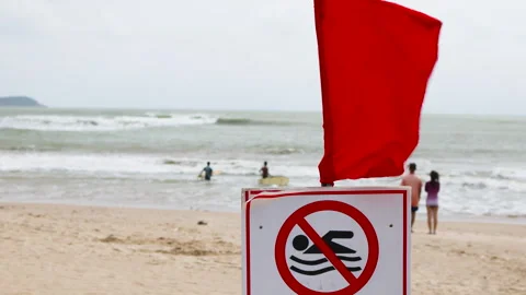 Surfers enter sea against backdrop of red flag. Stock Footage 293762883