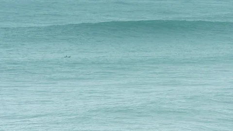 Surfers float on boards in open ocean as waves pass, wide Video stock 122306417