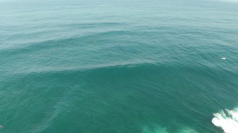 Surfers floating in Pacific ocean Stock Footage 50179505