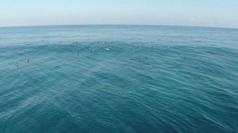 Surfers floating in Pacific ocean Stock Footage 50179526