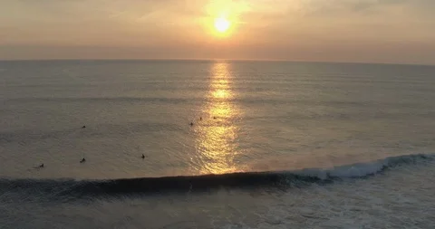 Surfers floating on the sea surface at sunset Stock Footage 108638782