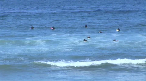 Surfers Stock Footage 27877377