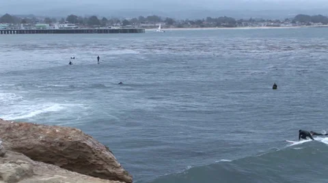 Surfers Stock Footage 30560690