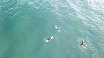 Surfers Stock Footage 86137020